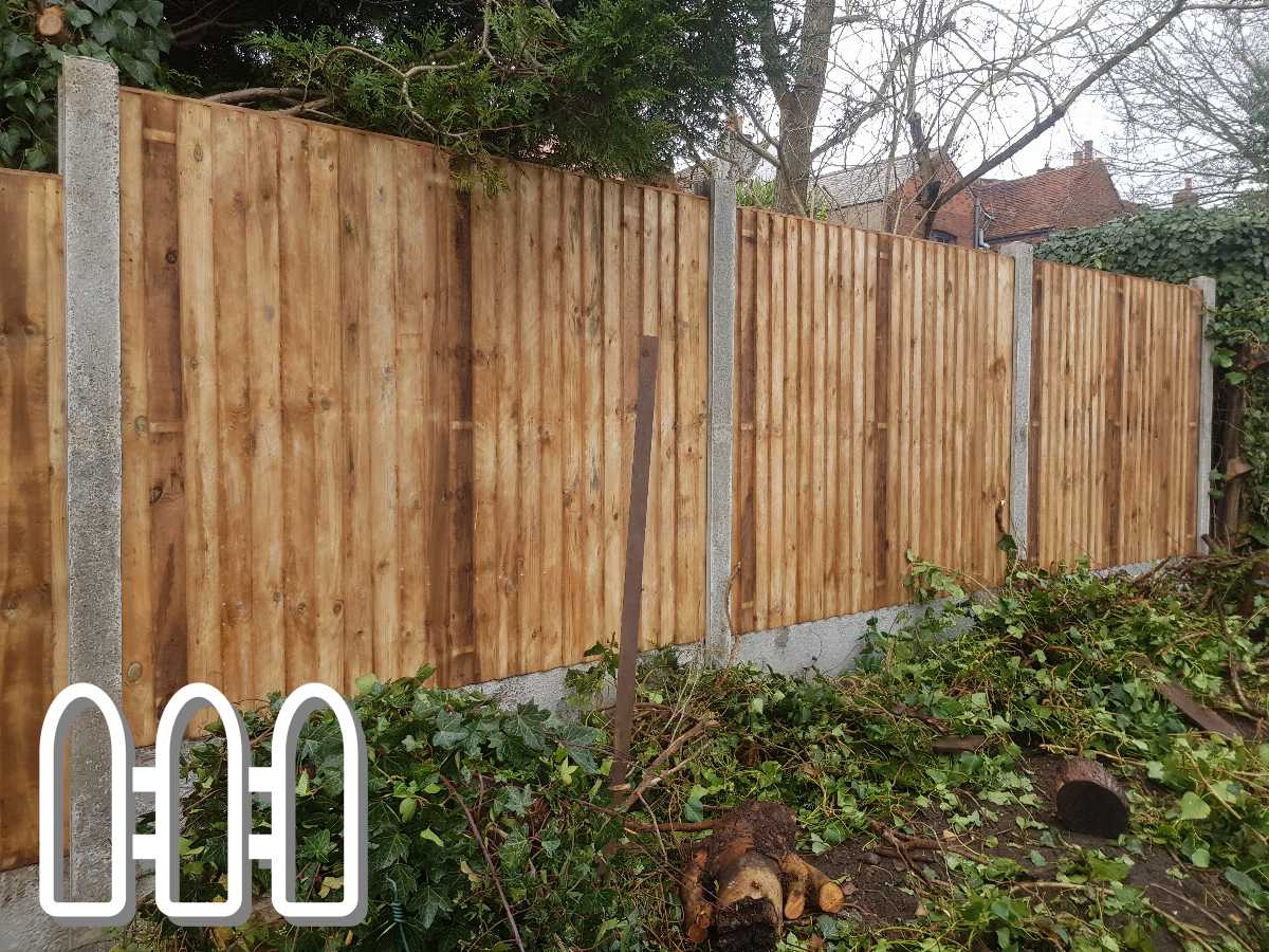 A well-maintained garden with a variety of young and mature trees, featuring a sturdy wooden fence in the background providing privacy and aesthetic appeal