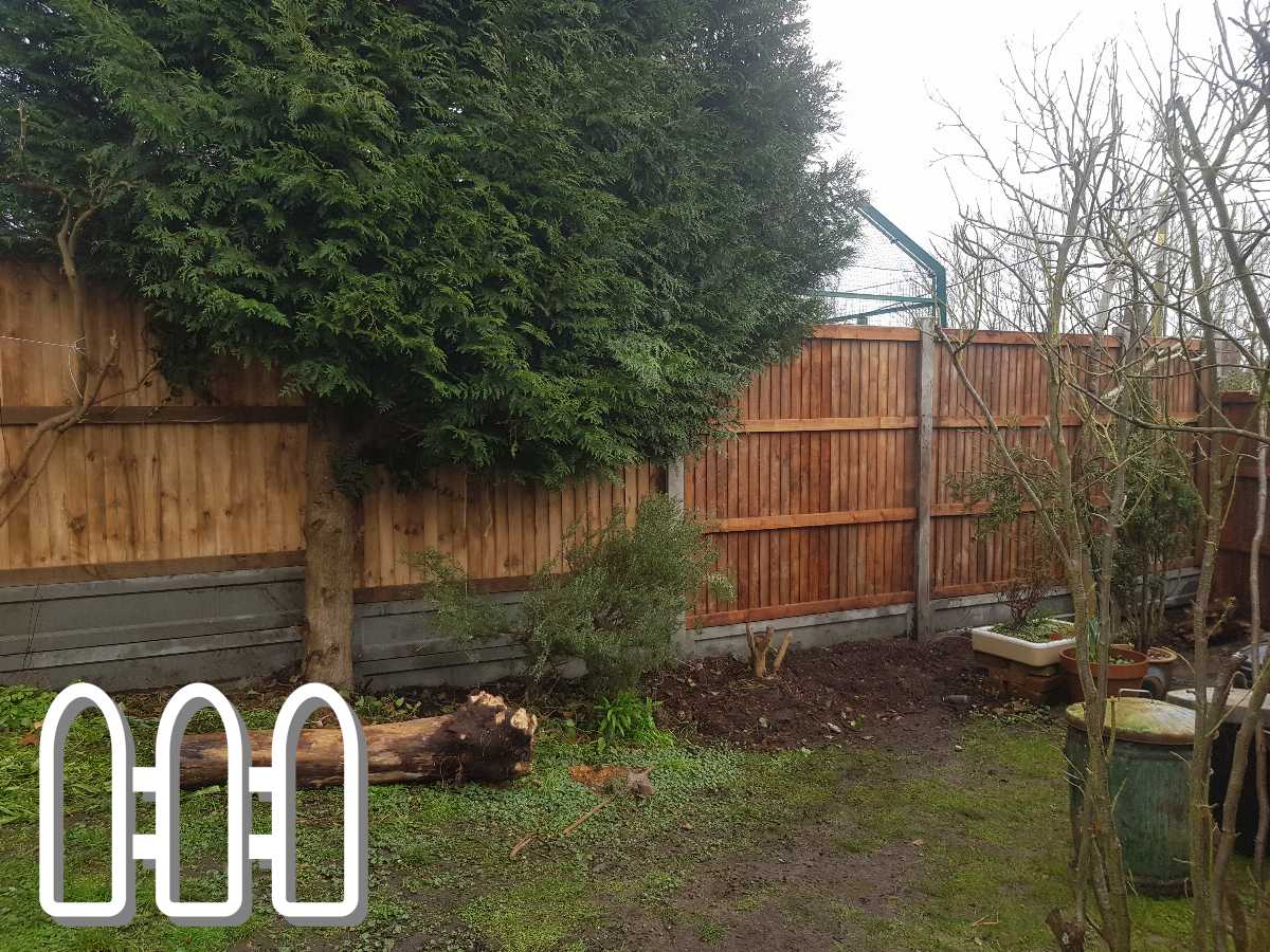 A well-maintained garden with a variety of young and mature trees, featuring a sturdy wooden fence in the background providing privacy and aesthetic appeal