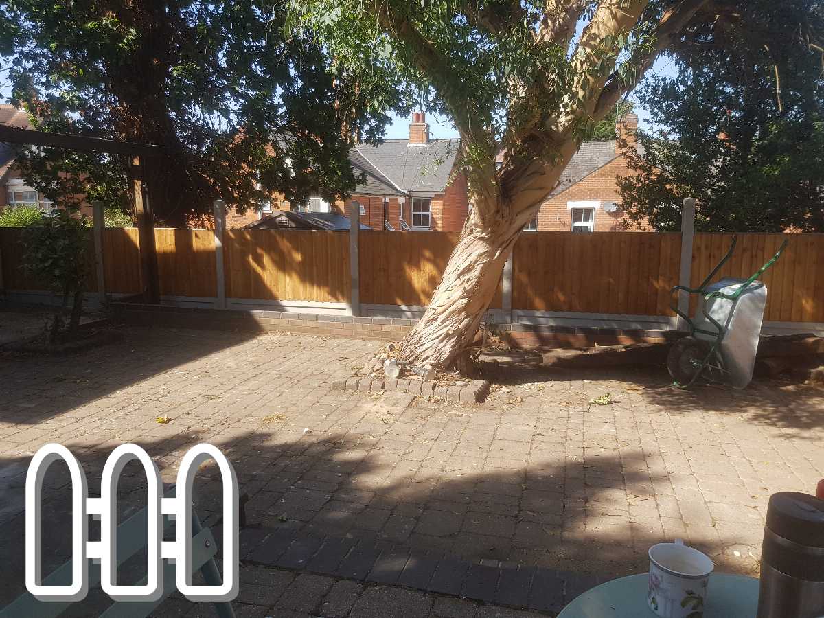 A sunny backyard featuring a new wooden fence, a large tree dominating the space, and a wheelbarrow next to the fence on a paved area, with residential buildings in the background.